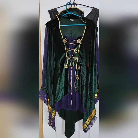 Spirit Halloween Hocus Pocus Adult Winifred Sanderson Dress - Picture 2 of 4